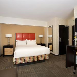 Queen Room Sofa Bed
